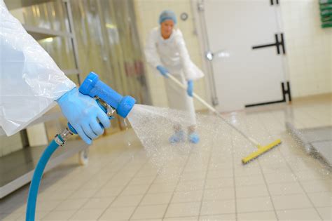 The Science behind Effective Mascot Cleaning